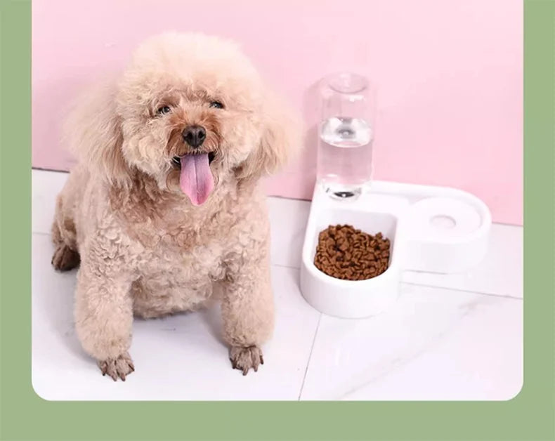 Double Pet water and food Bowl Set