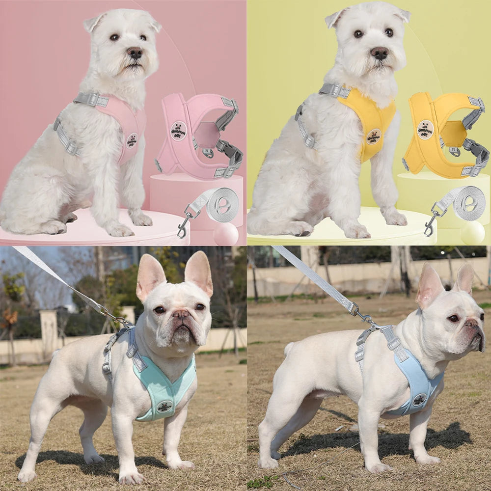 Dog Breathable Harness and Leash Set