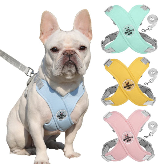 Dog Breathable Harness and Leash Set